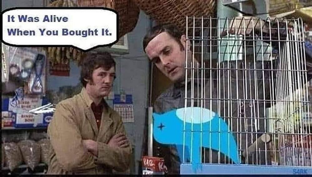 Comment image