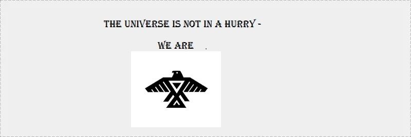 Banner saying the Universe is not in a hurry, mankind is with the Navajo symbol of the Phoenix. 