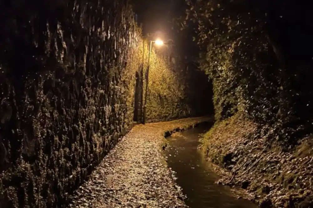 Hundreds sign petition to preserve historic Guernsey lane