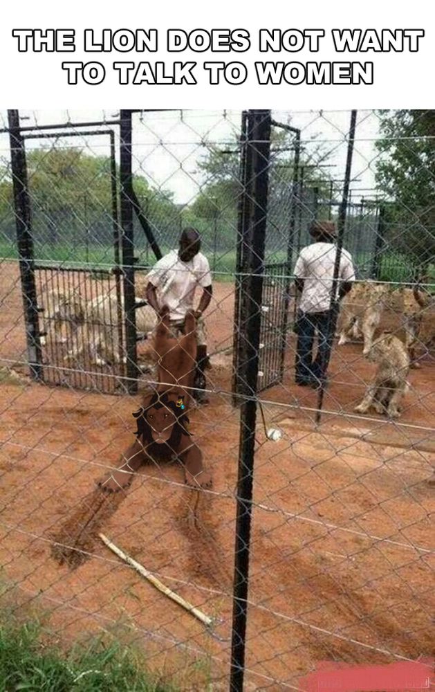 a lion being dragged by their hind legs with the caption "the lion does not want to talk to women"
the lion has been drawn over to look like the artists dnd character