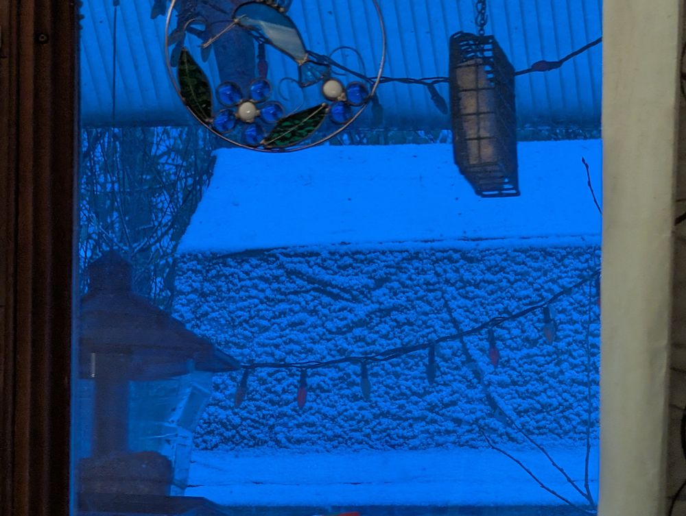 Extreme close up photo of the shed roof taken through a window. A light layer of snow is evident.