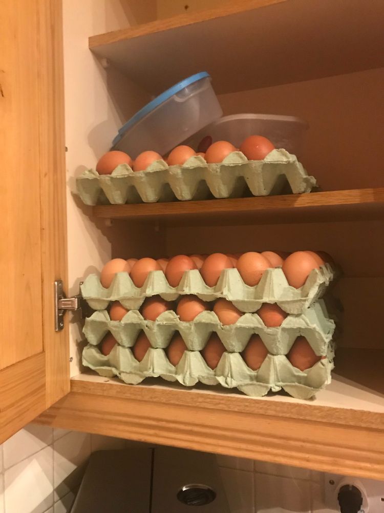 A kitchen press with four - FOUR - large trays of eggs stacked in it