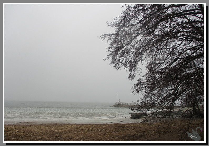 meren rantaa (Turku, Saaronniemi), pitkä laituri puun oksat reunassa