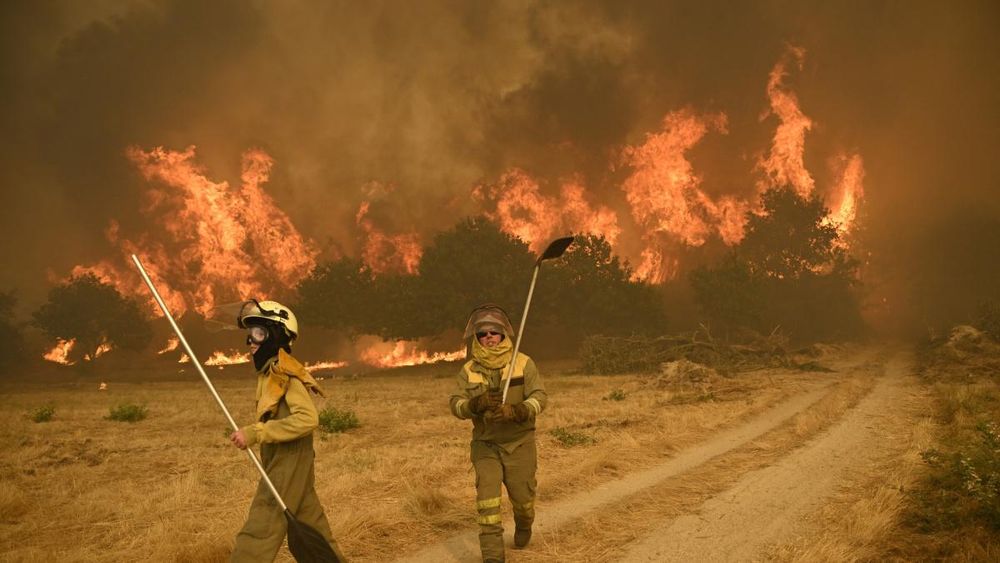El Código Penal ya establece penas de hasta 20 años de cárcel para quienes "provocaren un incendio que comporte un peligro para la vida o integridad física de las personas"....