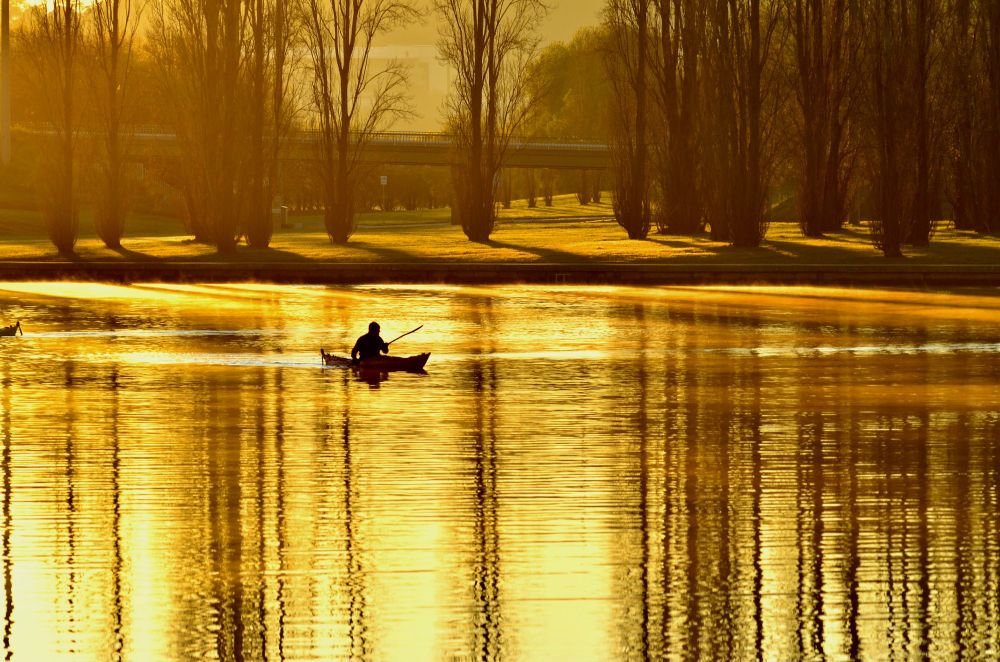 Pictured is a golden reflection from the sunrise and trees on water with the silhouette of a canoeist in middle left of the picture. 
