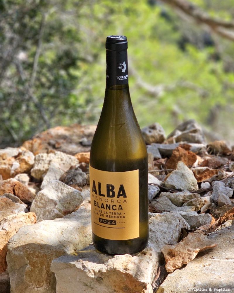 photo de Bodega Torralba, quand Minorque renaît dans un verre de vin