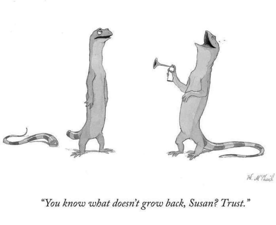 Two lizards, each standing upright on 2 legs. The lizard on the right is laughing and holding a party horn, having just used it on the lizard to the left. The lizard  on the left is unamused. Its tail has fallen off due to the frightening horn sound. The lizard on the left says: "You know what doesn't grow back, Susan? Trust."
