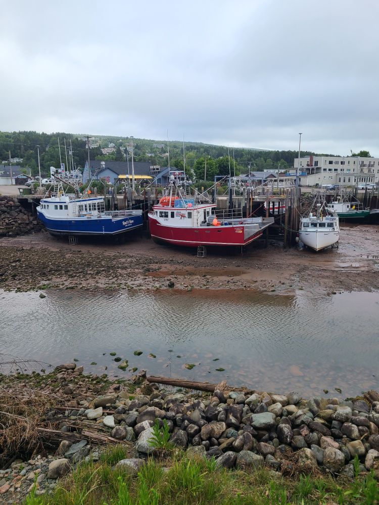 Looking across a stream towards boats sitting in the much. At high tide most of the area in the foreground is filled with water. 