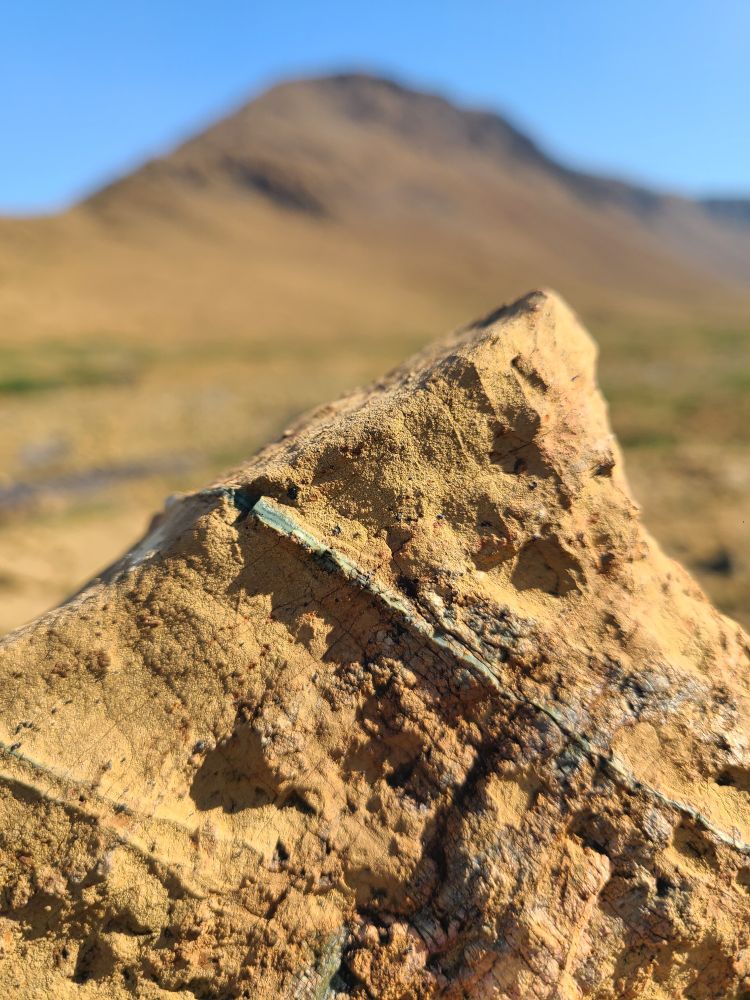In focus chunk of rough peroditite with a vein of layered green and white harder rock. In the background, out of focus, is tableland mountain. 