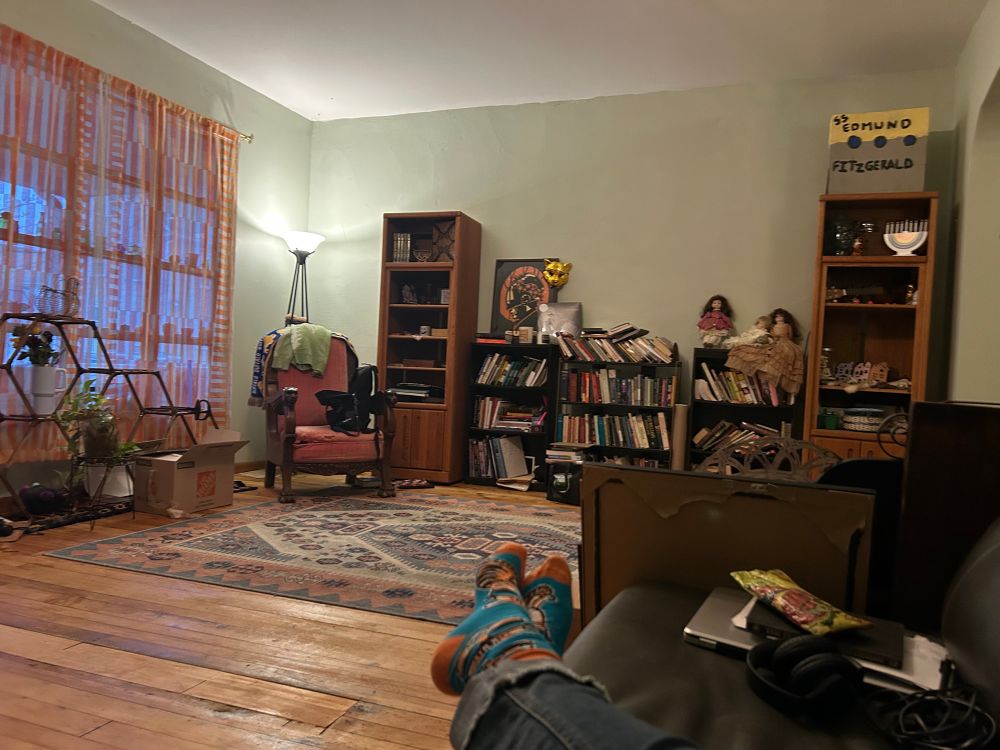 A pair of docked feet on a couch, looking at a hardwood floor room with a wall of books, and a large window with plants in it.