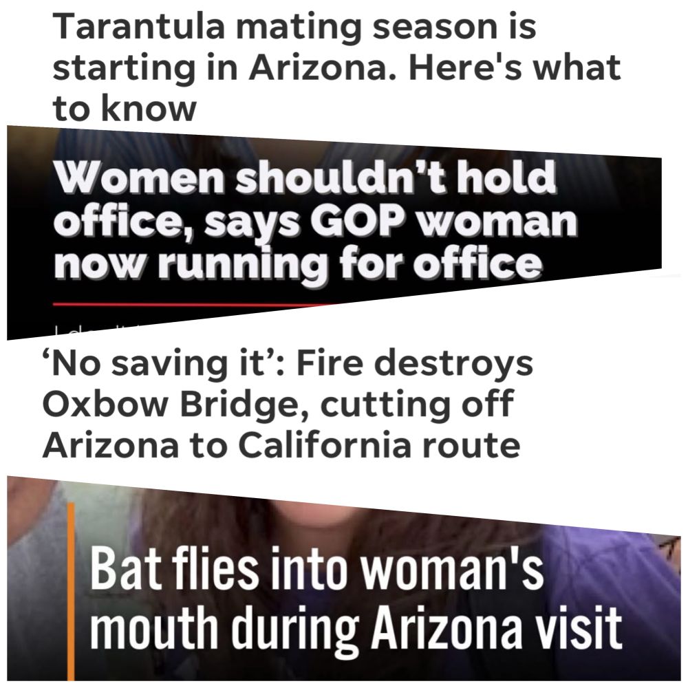A collage of local Arizona headlines from the last week: Tarantula mating season has begun! Women shouldn’t hold office, says GOP woman now running for office! Fire destroys Oxbow Bridge! Bat flies into woman’s mouth! 