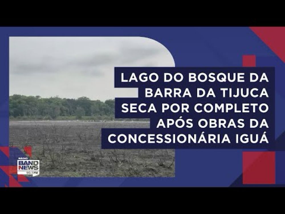 Seca em lago do Bosque da Barra, na Zona Oeste do Rio, afeta dezenas de animais