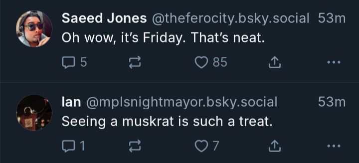 two skeets on the timeline:
"Oh wow, it's Friday. That's neat."
"Seeing a muskrat is such a treat."