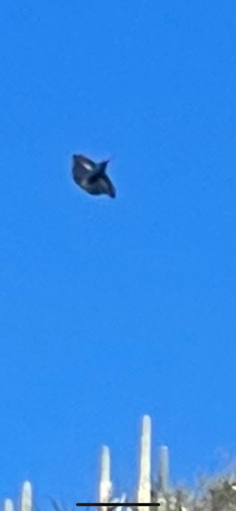 A closeup of the ufo/drone from the first photo