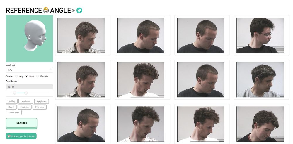 a screenshot of the website, showing a 3D model of the head on the left, and a 4 columns, 3 rows of photos of men looking down in the same angle of the 3D model.