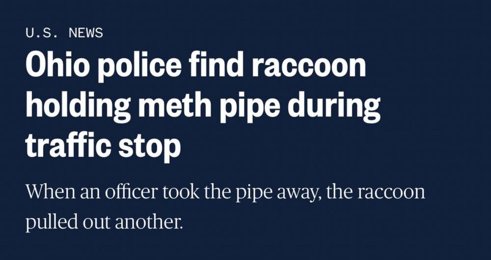 Screenshot of a newspaper headline that reads:

U.S. NEWS

Headline: Ohio police find raccoon
holding meth pipe during
traffic stop

Subhead: When an officer took the pipe away, the raccoon
pulled out another;