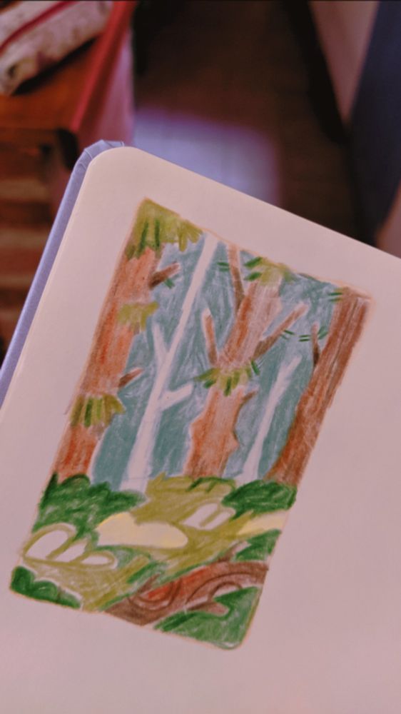 photo of a sketchbook drawing depicting a little forest with trees and trunks.