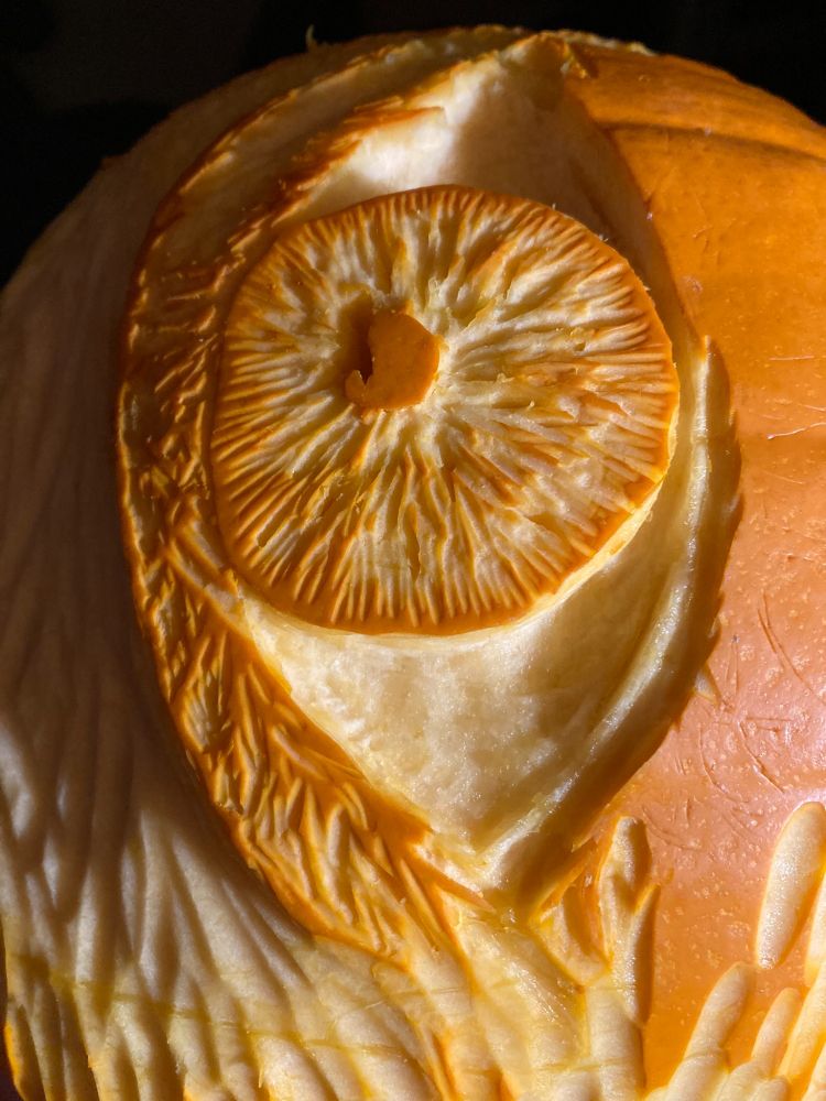A photograph of a pumpkin, mid carve, showing most of an eye
