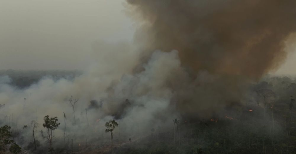 Para combater as queimadas, Brasil precisa se libertar do agro | Intercept Brasil