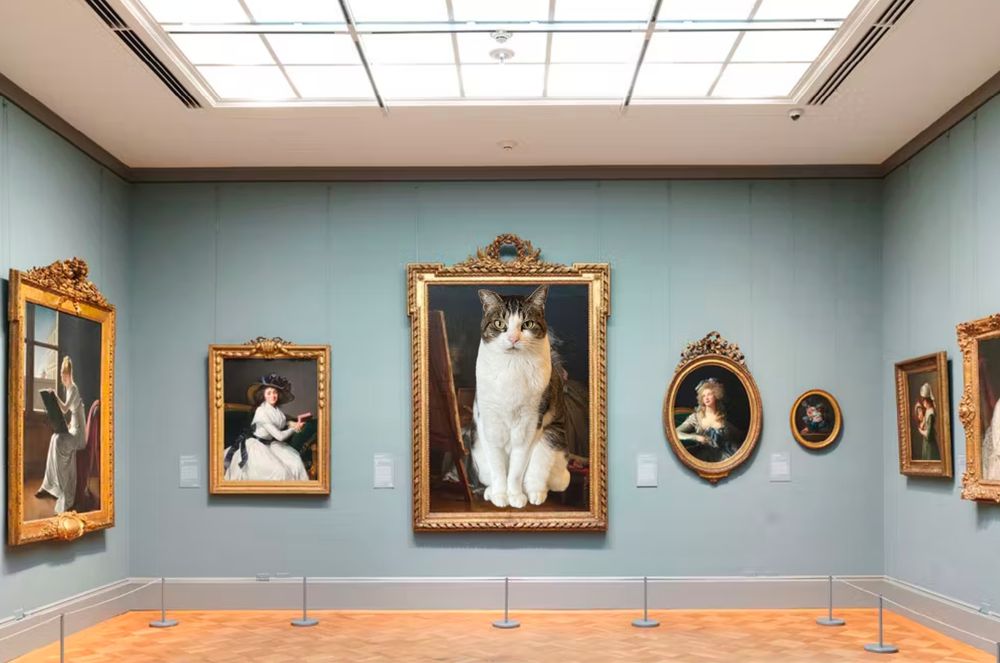 a portrait gallery in an art museum. The ceiling has a skylight, the floor is wood, the walls are painted a soft blue, and there are several portaits lined up in formal frames. In the center of an image a tabby and white cat has been superimposed on a portrait, She sits on her haunches looking out at you. 