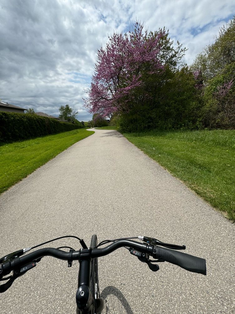 a picture of me riding a bike, on a path, with handlebars visible, a paved trail ahead with a partly cloudy sky and a pink  tree