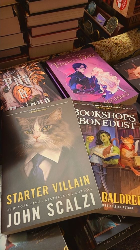 Photo of books including Starter Villain by John Scalzi, Bookshops and Bonedust by Travis Baldree, Pits and Poison by R. Raeta, and Throne in the Dark by A.K. Caggiano.