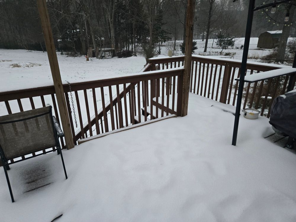 Snow covered deck looking out over a snow covered yard. Trees in the distance. 
