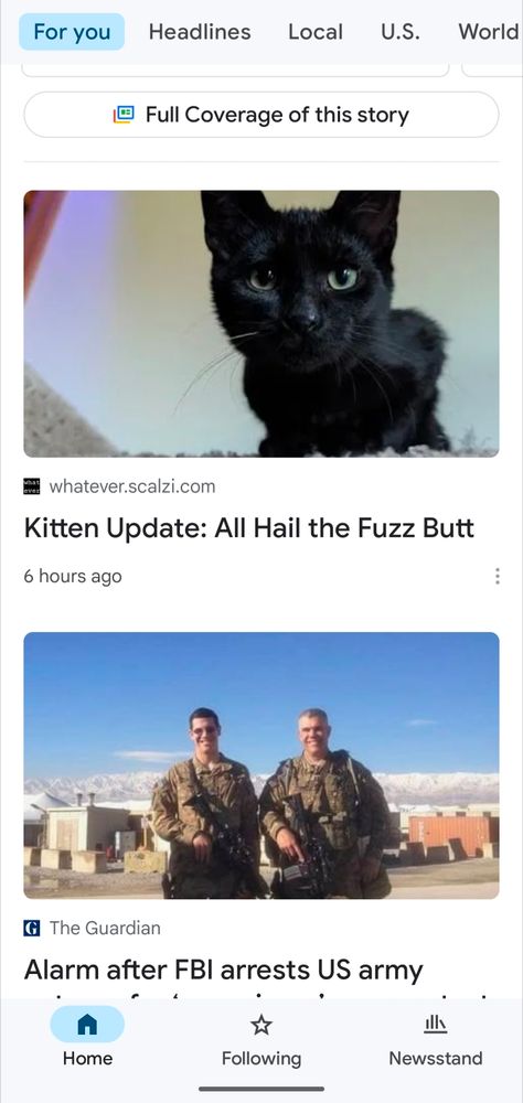 Screen cap of Google News page with a photo of a black kitten and a photo of two soldiers. The text on screen reads: For you Headlines Local U.S. World Full Coverage of this story whatever.scalzi.com Kitten Update: All Hail the Fuzz Butt 6 hours ago The Guardian Alarm after FBI arrests US army Home Following Newsstand
