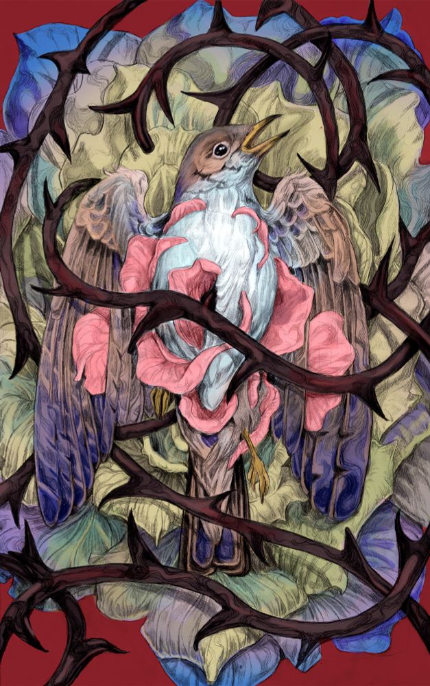 A nightingale, surrounded by thorns, on a rose that slowly turns red