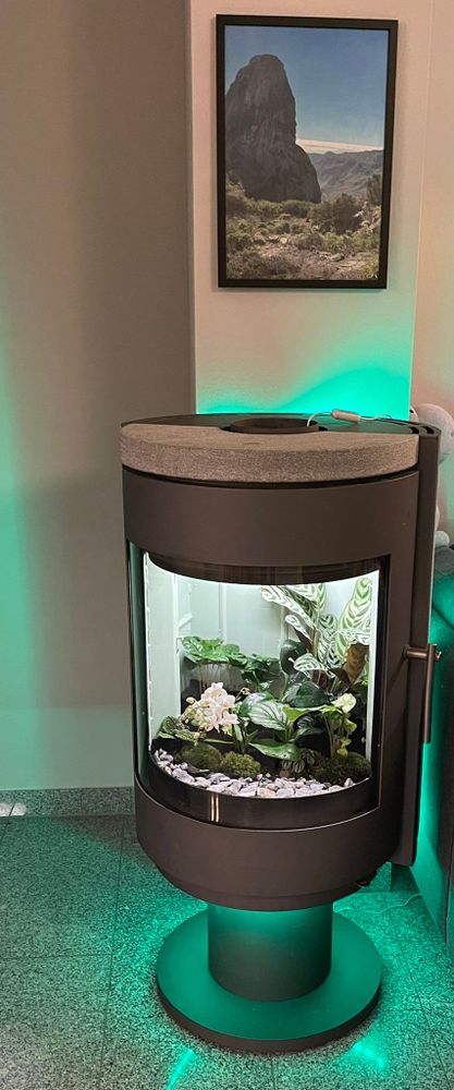 A wood burning stove that has been converted into a terrarium. 
