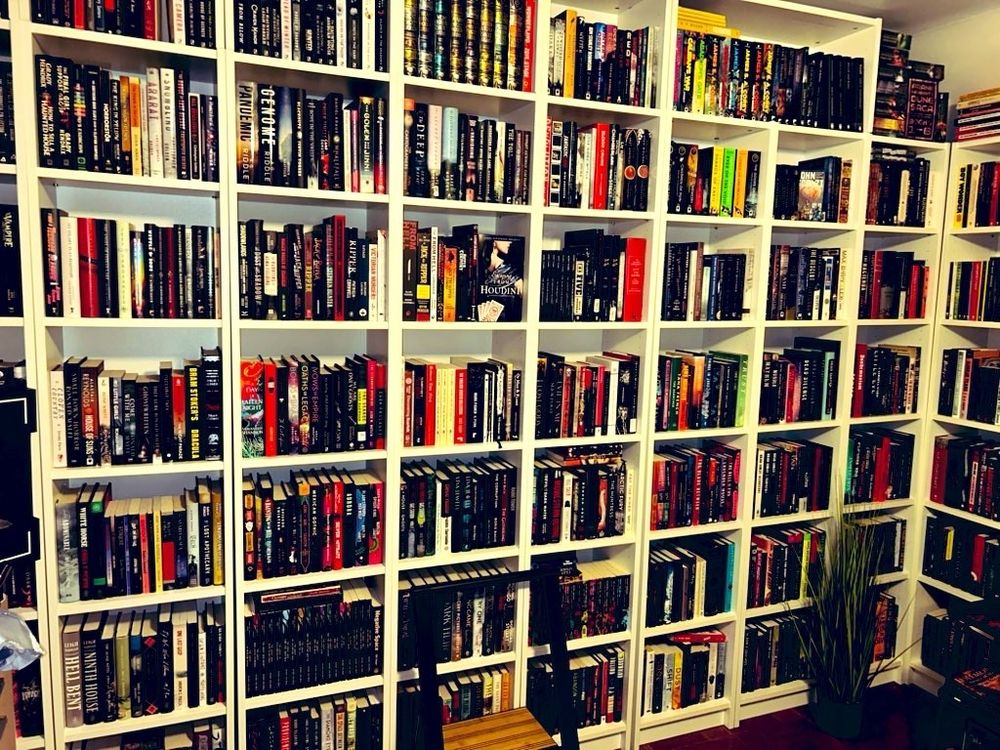 Bookshelves full of books