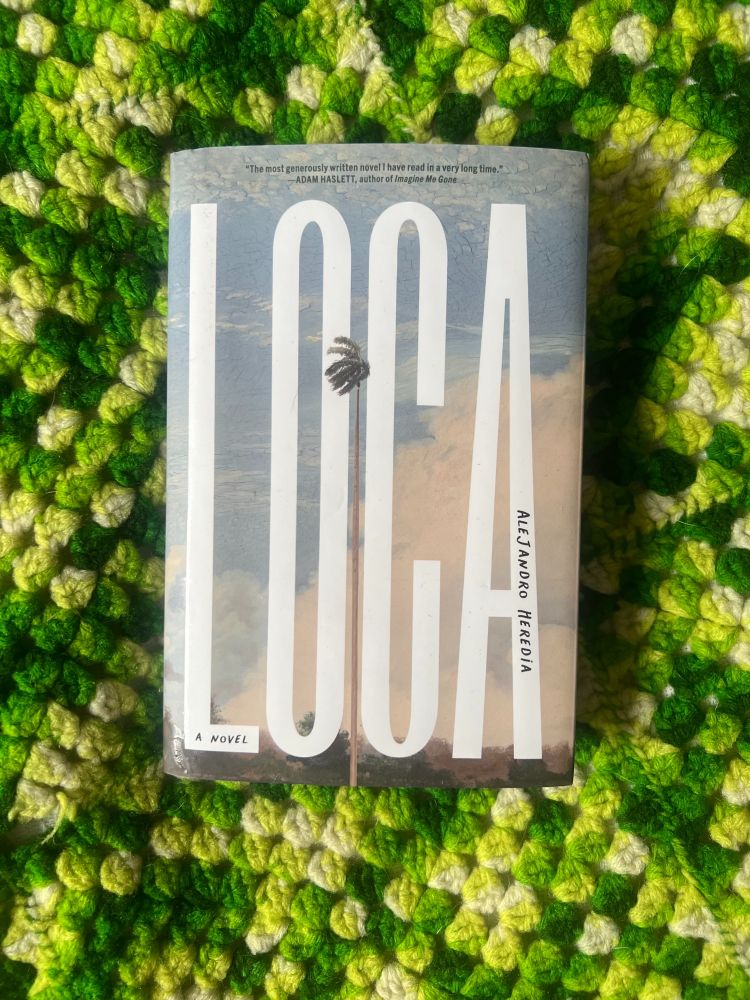 Image shows the cover of the novel Loca by Alejandro Heredia with the title spelled out in tall narrow letters set against a light blue and pinkish clouds background with a single tall, narrow palm tree between the "O" and the "C"