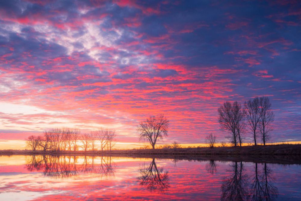 Looking across a pond at the trees on the opposite shore just before sunrise - the clouds in the sky are pink and purple from the early morning light and are reflected in the still water.