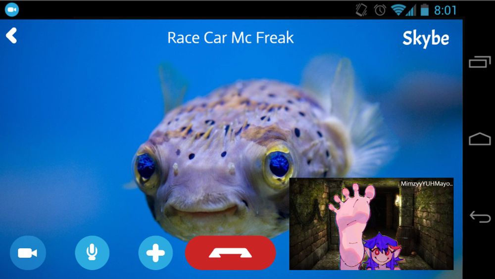a skype call screen featuring a pufferfish named Race Car Mc Freak with a blue haired anime girl with a foot up to the screen in a dungeon in the lower right corner