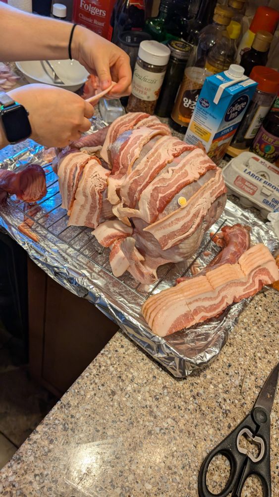 A small turkey dressed in strips of uncooked bacon 