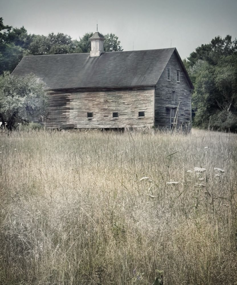 Along my long bicycle ride on quiet country roads I paused to photograph this barn from the 1800’s.  There was a nice patch of blueberries at my feet and I enjoyed a sweet snack.