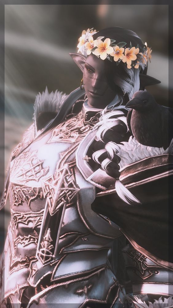Image of Duskwight elezen paladin with a yellow flower crown standing in the dawn sunlight. A crow sits on their shoulder.