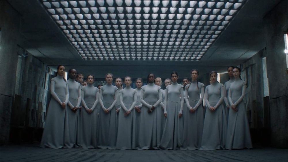 The sisterhood, all the girls in their grey vests.