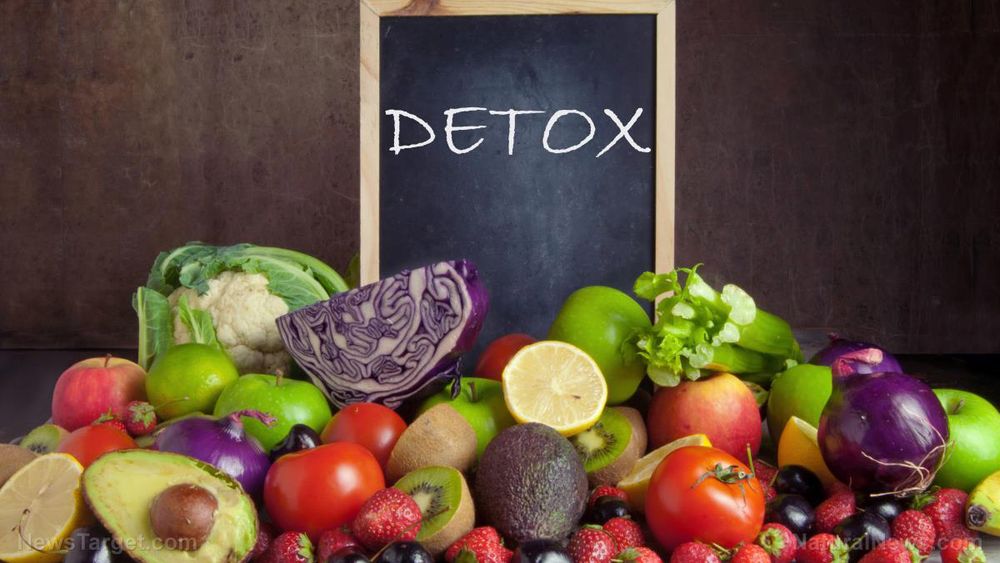 Sermon 22: Mike Adams explains how to DETOX using God’s molecules