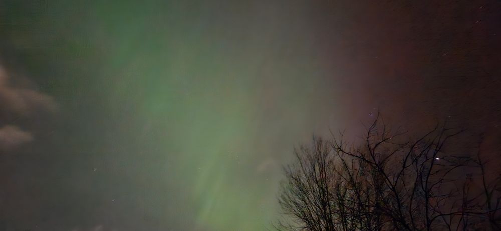 Green and dark reddish aurora boreal northern lights above a leaf-free tree