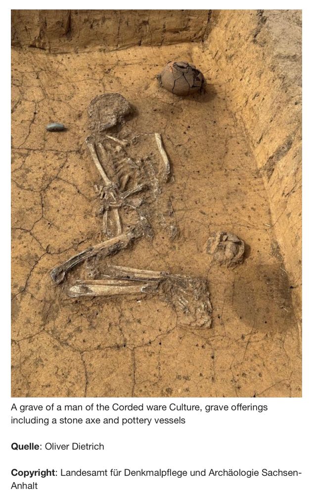 A grave of a man of the Corded ware Culture, grave offerings including a stone axe and pottery vessels. 