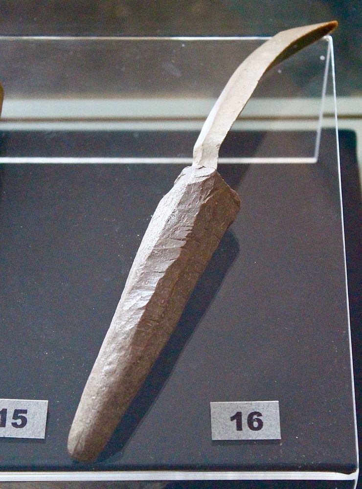 A long flint blade hafted in a roughly carved antler handle. 