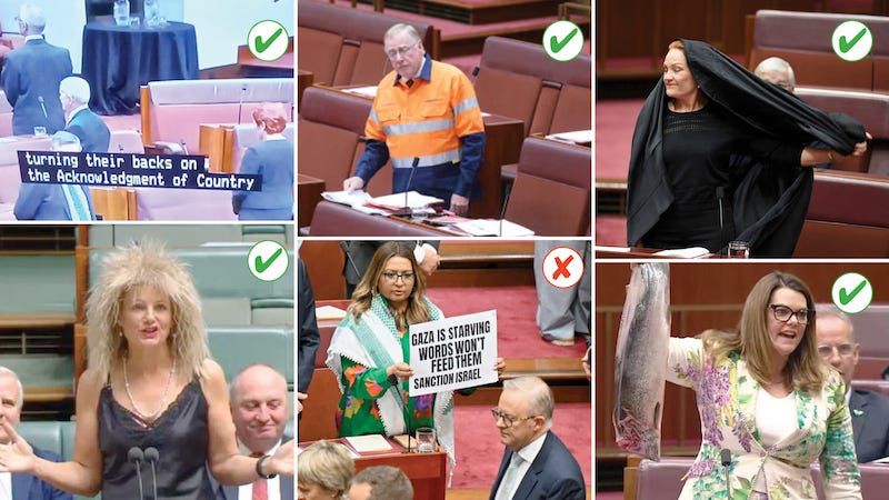 A composite of six images from the Australian parliament when elected representatives have been doing something theatrical. Turning their backs on an Acknowledgment of Country, wearing hi-vis gear, wearing a burqa and pulling it off, holding up a sign about Gaza, wearing a fright wig and holding up a large salmon. All the images have a green tick, except the one of Mehreen Faruqi holding the sign in support of Gaza which has a red cross.