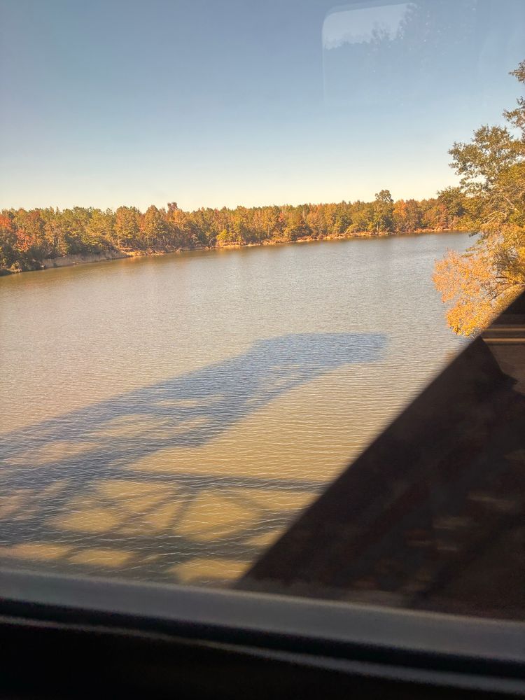 A picture of a dark and muddy river 