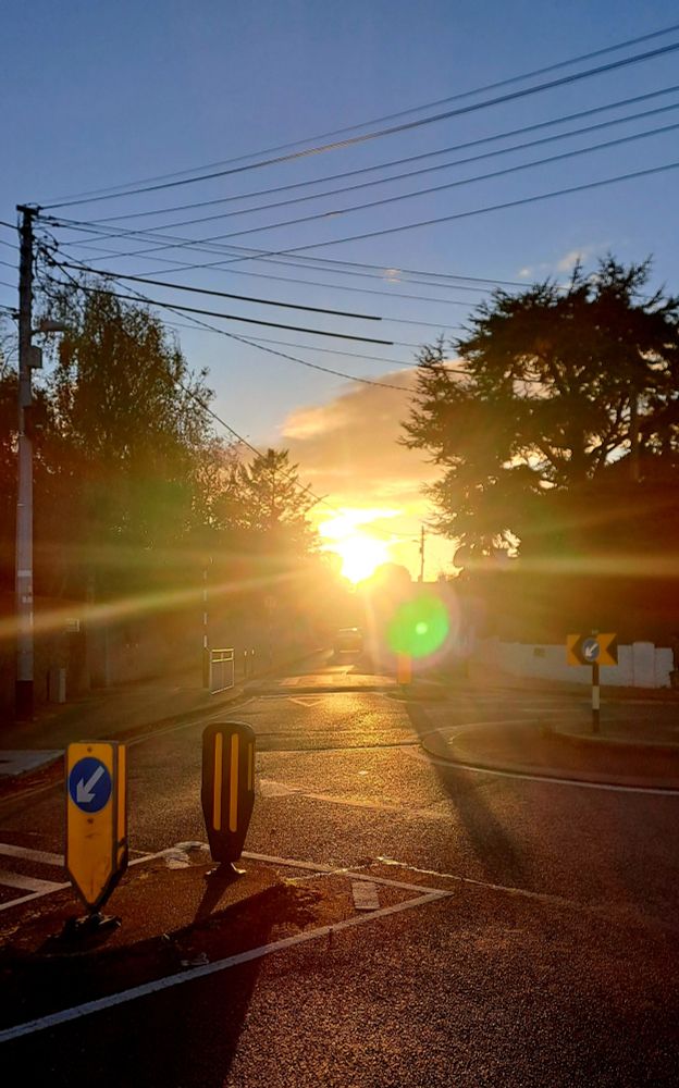 setting sun shining right down avoca ave. lens flare is green. telephone wires are too many.