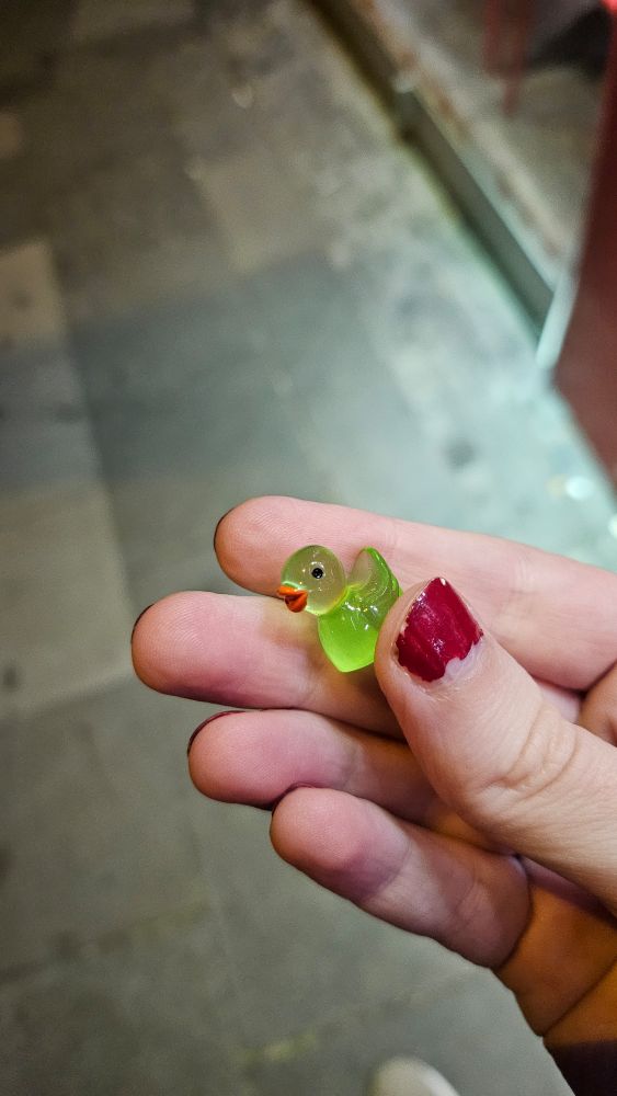 Little green plastic ducky