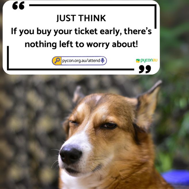 A dog winking with the caption: 'JUST THINK — If you buy your ticket early, there’s nothing left to worry about!' Includes the link pycon.org.au/attend pyconau