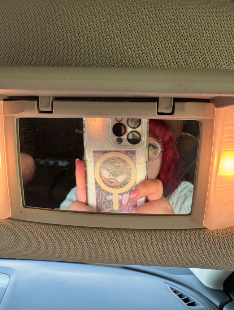 the user holding her phone up in the passenger side mirror showing a shadow the hedgehog photocard
