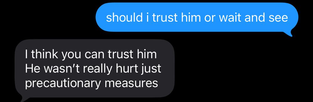 a text saying “should i trust him or wait and see”

a reply saying “I think you can trust him
He wasn't really hurt just precautionary measures”
