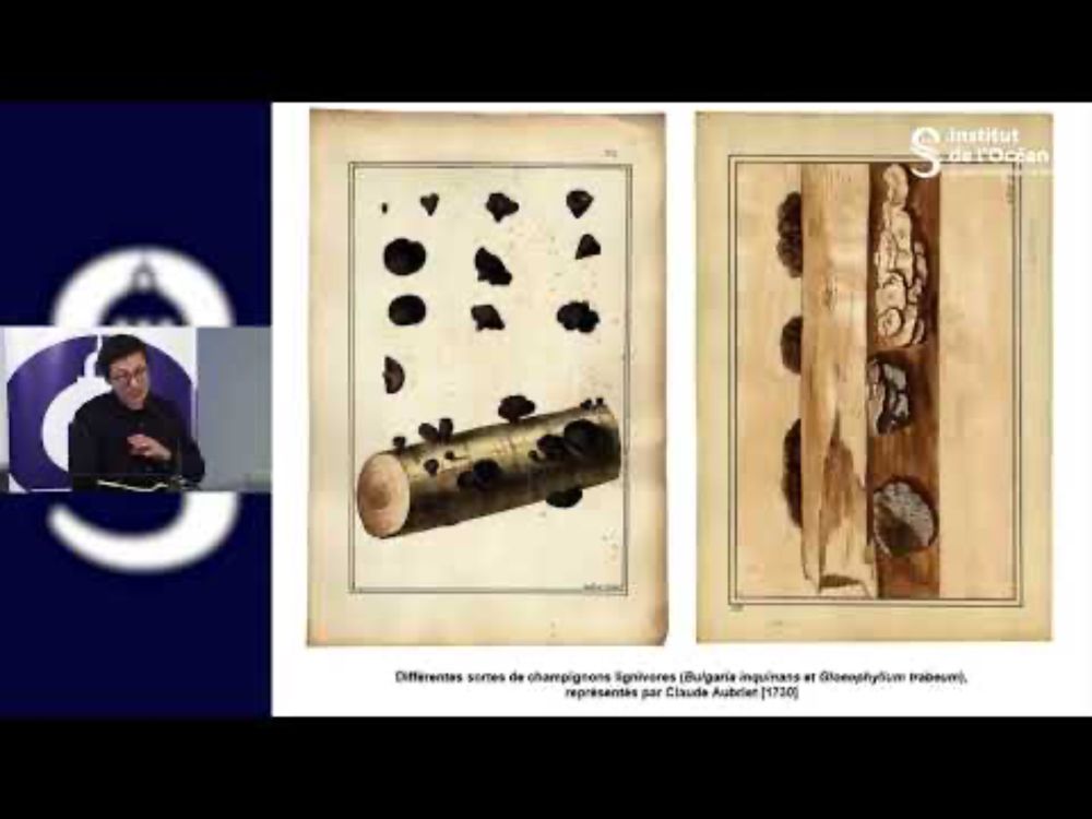 02 Pierre Le bot -  La longévité des vaisseaux de Louis XV